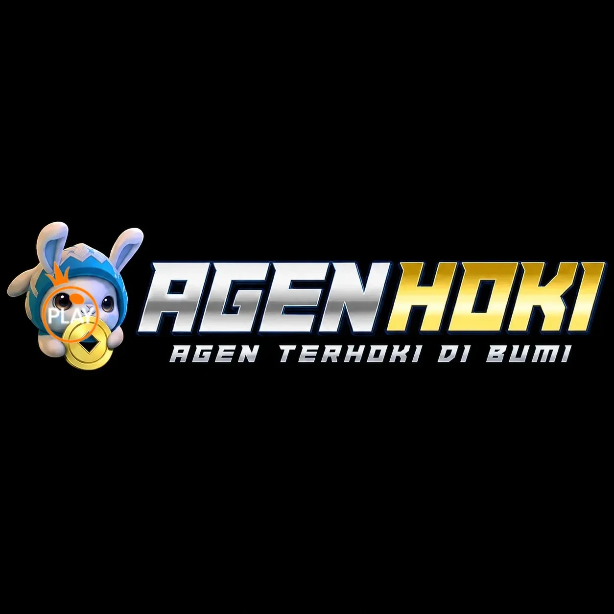 Logo agenhoki
